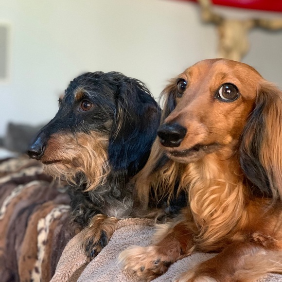 Meet your Posher, Sarah - Picture 2 of 5